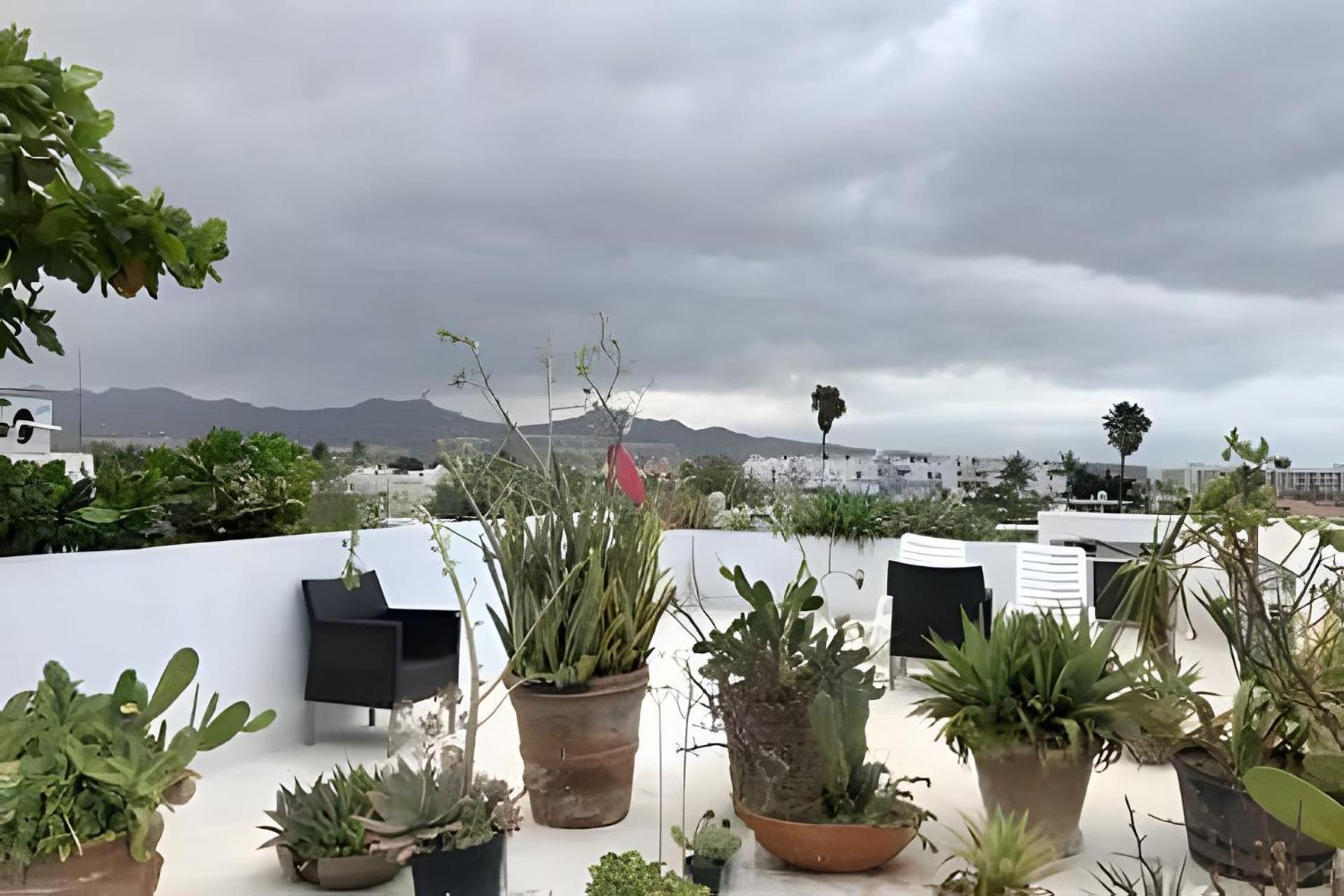 12 De Octubre Cabo San Lucas Exterior foto