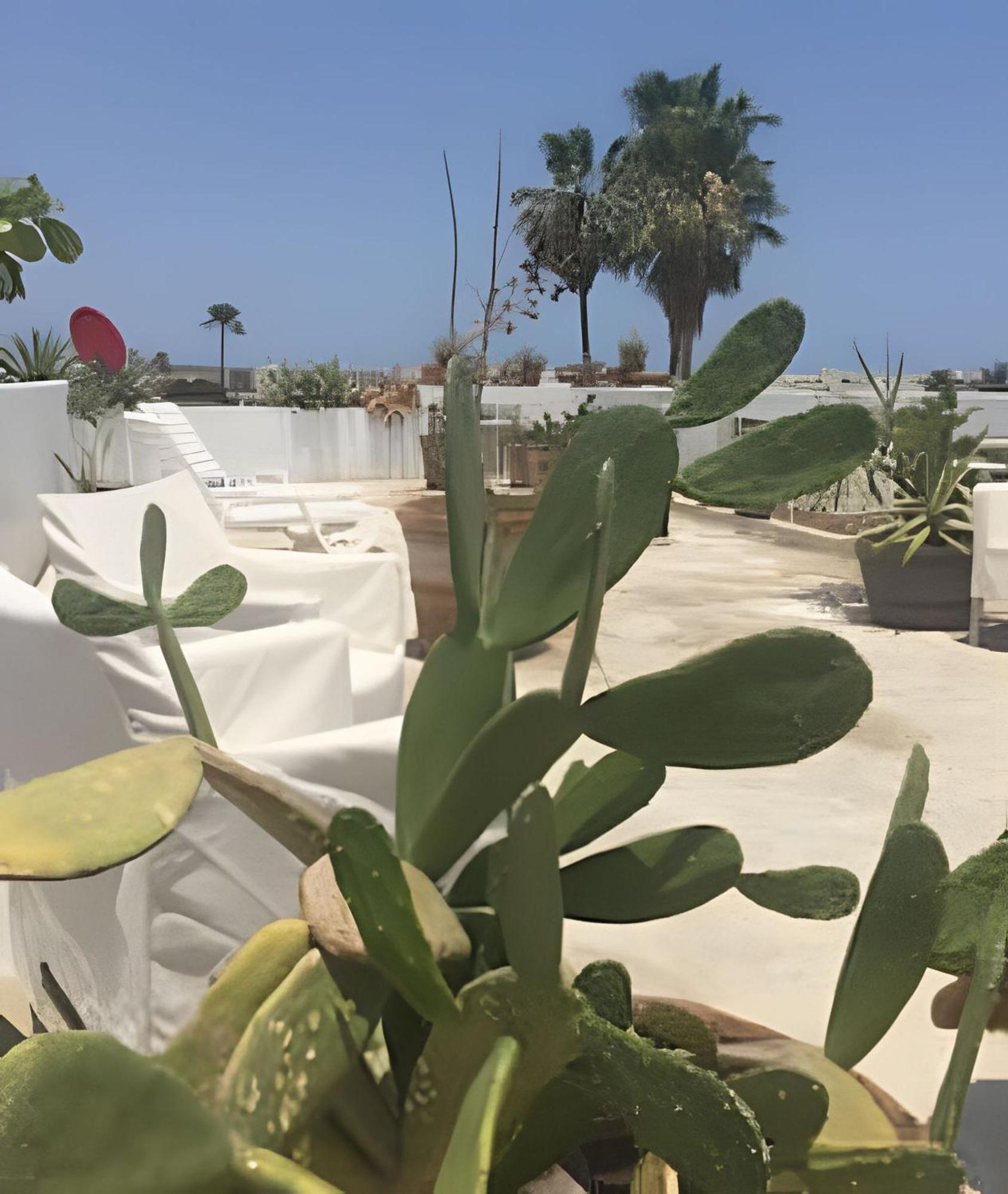 12 De Octubre Cabo San Lucas Exterior foto